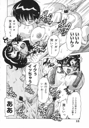 [Tom Tamio] Geki Ai Koui - The passionate Lover's conduct. Fhentai - Page 17