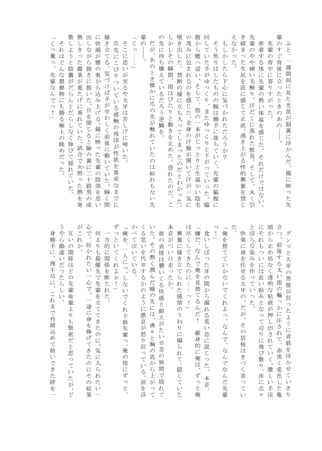 Pro Wrestling Kiba 2nd Bout Fhentai - Page 97