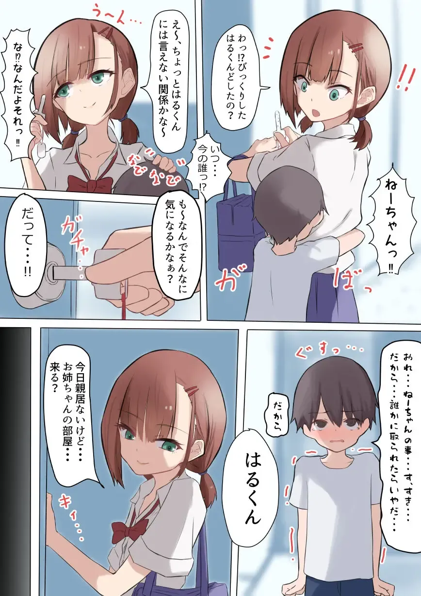 [Nori] Onee-chan to Hajimete Shiyou Fhentai - Page 3