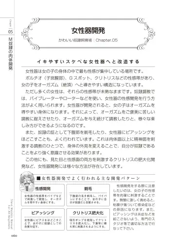 Zero kara Hajimeru SM Manual Kawaii Dorei Shiikujutsu Fhentai - Page 60