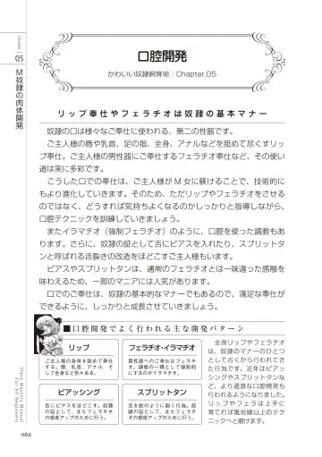 Zero kara Hajimeru SM Manual Kawaii Dorei Shiikujutsu Fhentai - Page 62