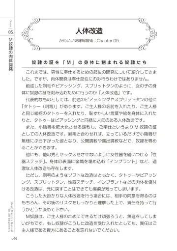 Zero kara Hajimeru SM Manual Kawaii Dorei Shiikujutsu Fhentai - Page 66