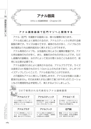 Zero kara Hajimeru SM Manual Kawaii Dorei Shiikujutsu Fhentai - Page 84