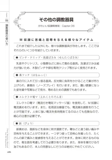 Zero kara Hajimeru SM Manual Kawaii Dorei Shiikujutsu Fhentai - Page 86