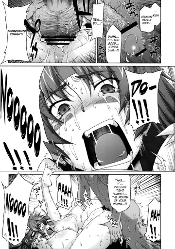 [Seura Isago] Risty-Rin ~Kanzenban~ Fhentai - Page 34