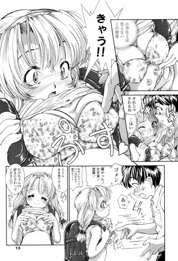 [Hokama Mitsuri] Sodattyauzo Fhentai - Page 14