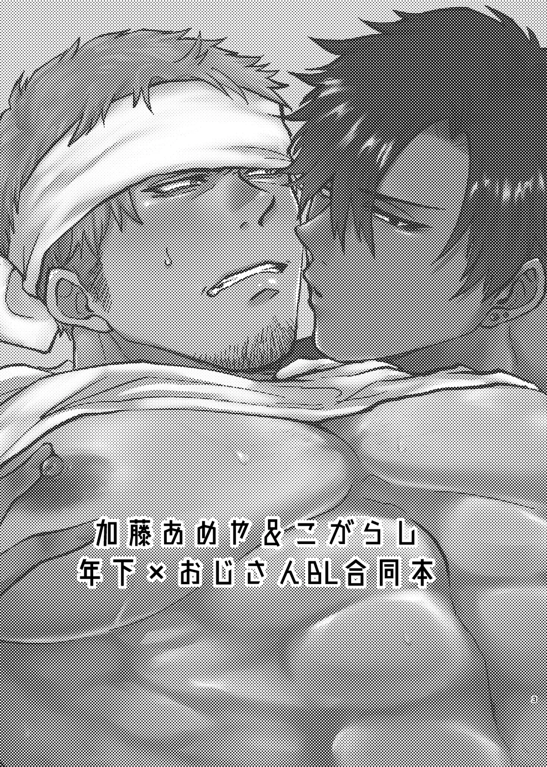 [Katou Ameya] Ecchi na Koto dake Fhentai - Page 2