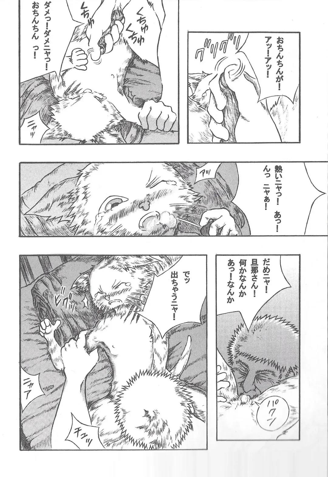 [Amd] Airu Monhun Dream Fhentai - Page 19