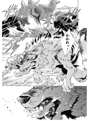 [Himekawa Akira] THE WILD LEG wolf Fhentai - Page 97