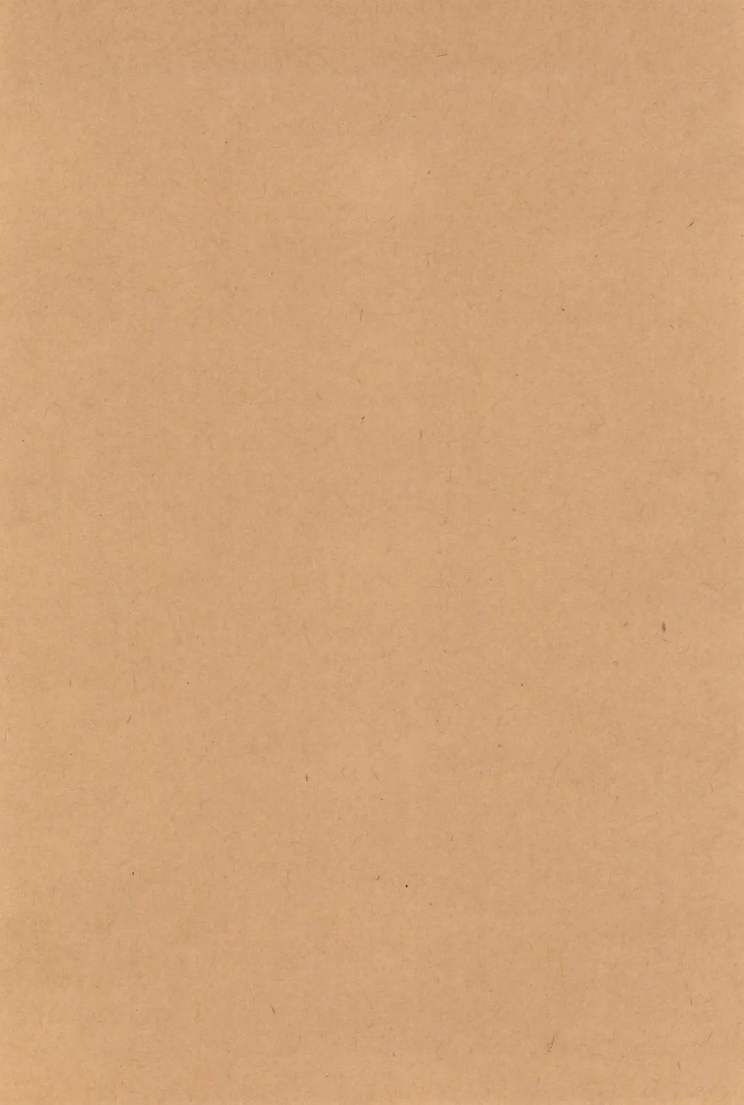 [Nimoyu] Kuuhaku Chitai no Kourousha Fhentai - Page 4