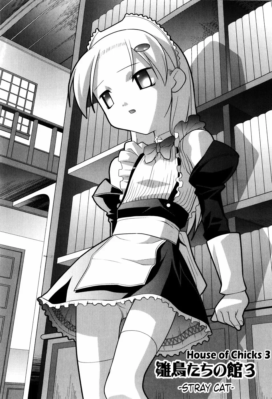 [Himehachi] Hinadoritachi no Yakata ch 1-3 Fhentai - Page 40