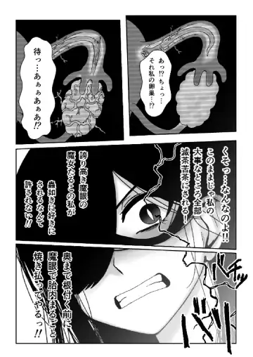 Majo ga Shokushuu to Mushi ni Kisei Sarete Shikyuu to Jinsei o Mechakucha ni Sareru Hanashi Fhentai.net - Page 17