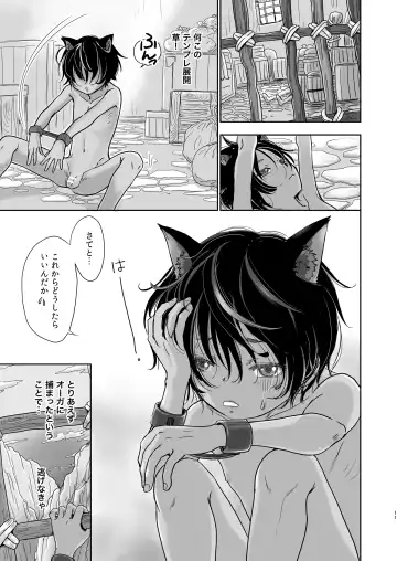 [Dousai] Boku, Isekai de Nekomimi Seidorei to Shite Tonari no Kuni made Tabi o Shitemasu. Fhentai.net - Page 11