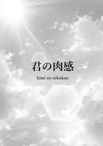 [Waryu] Kimi no nikukan Fhentai - Page 4