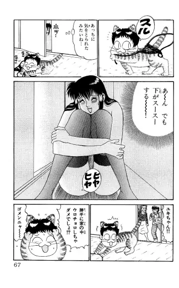 Orette Piyoritan 05 Fhentai - Page 65