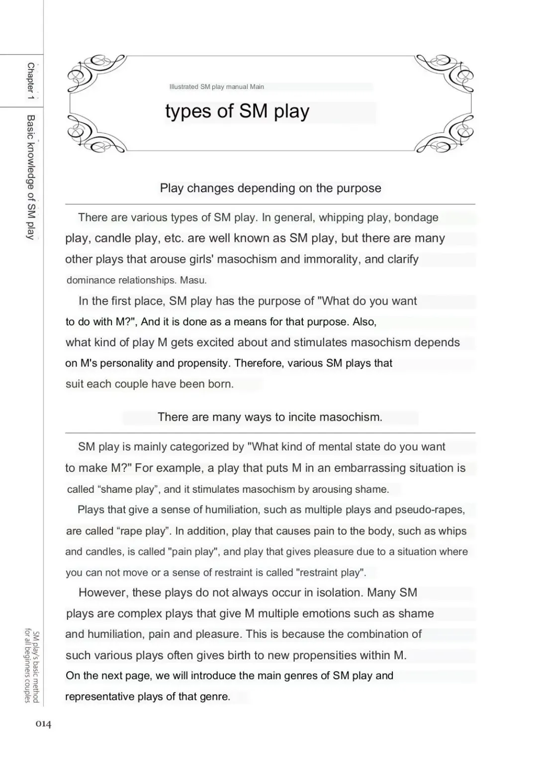 SM play manual Fhentai - Page 12