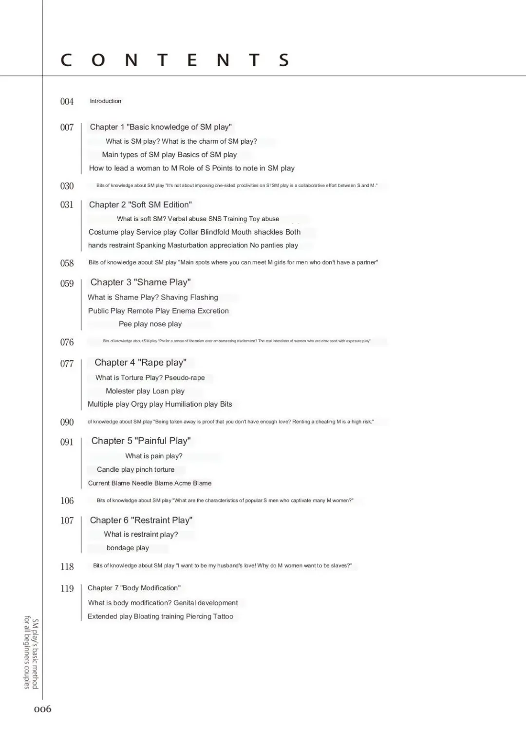 SM play manual Fhentai - Page 2