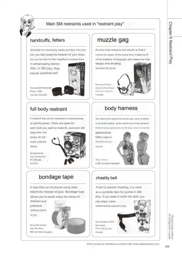 SM play manual Fhentai - Page 109