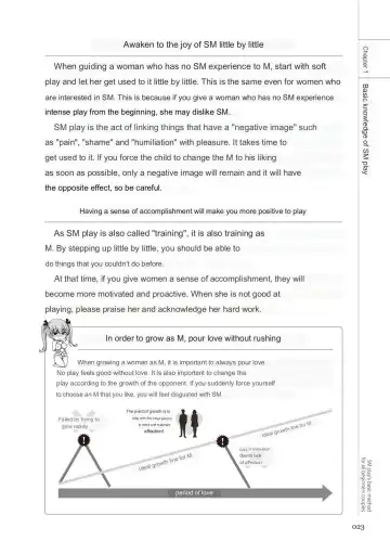 SM play manual Fhentai - Page 21