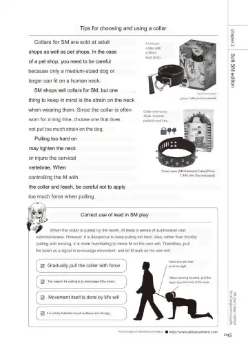 SM play manual Fhentai - Page 43