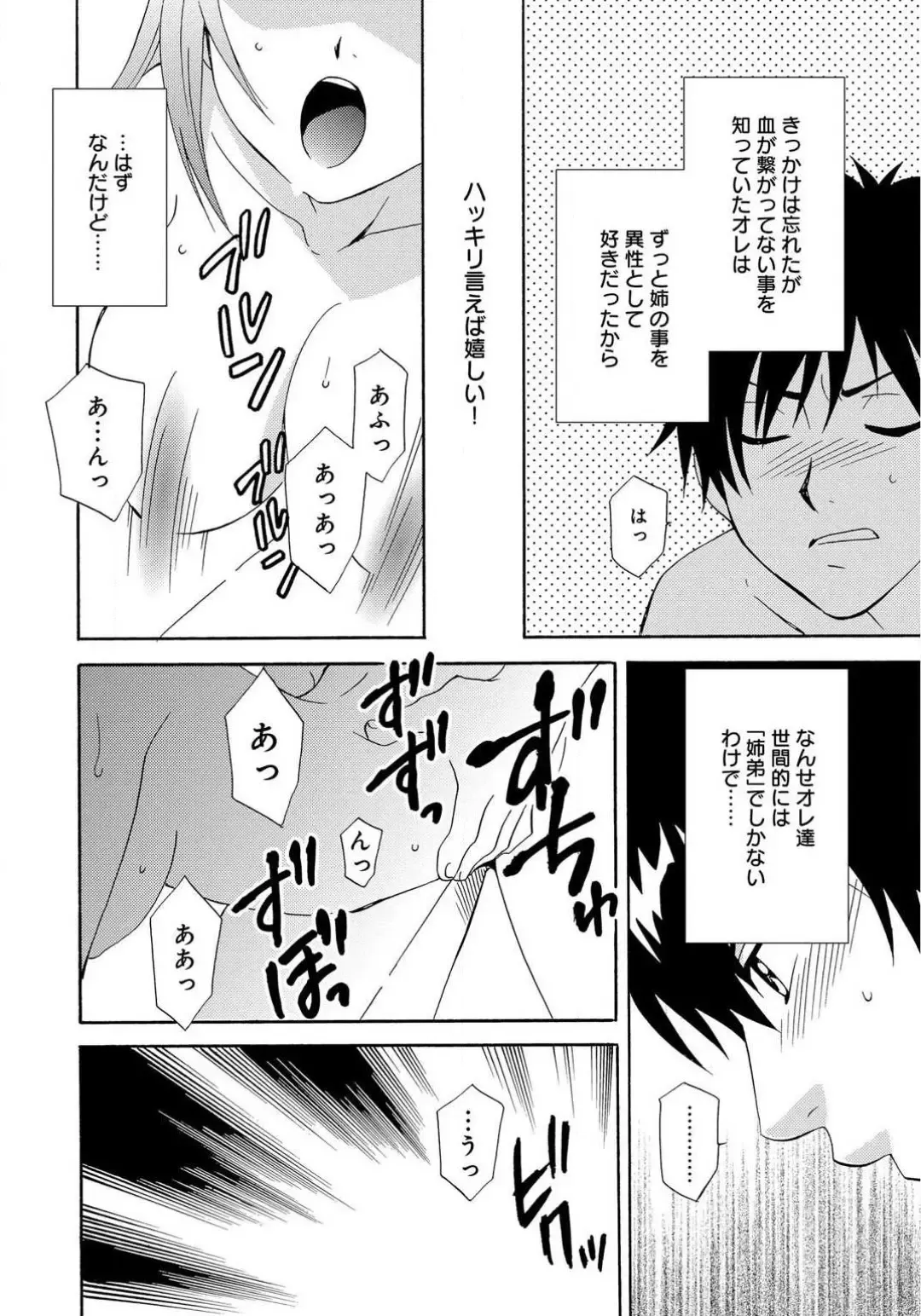 [Tatsuse Yumino] Ane no Nikumitsu Fhentai.net - Page 24