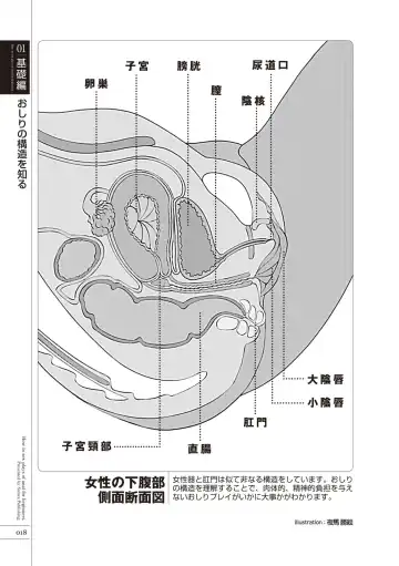 [Aoi Yumi - Mamezou - Nayuzaki Natsumi] いますぐデキる 図説おしりエッチマニュアル Fhentai.net - Page 20