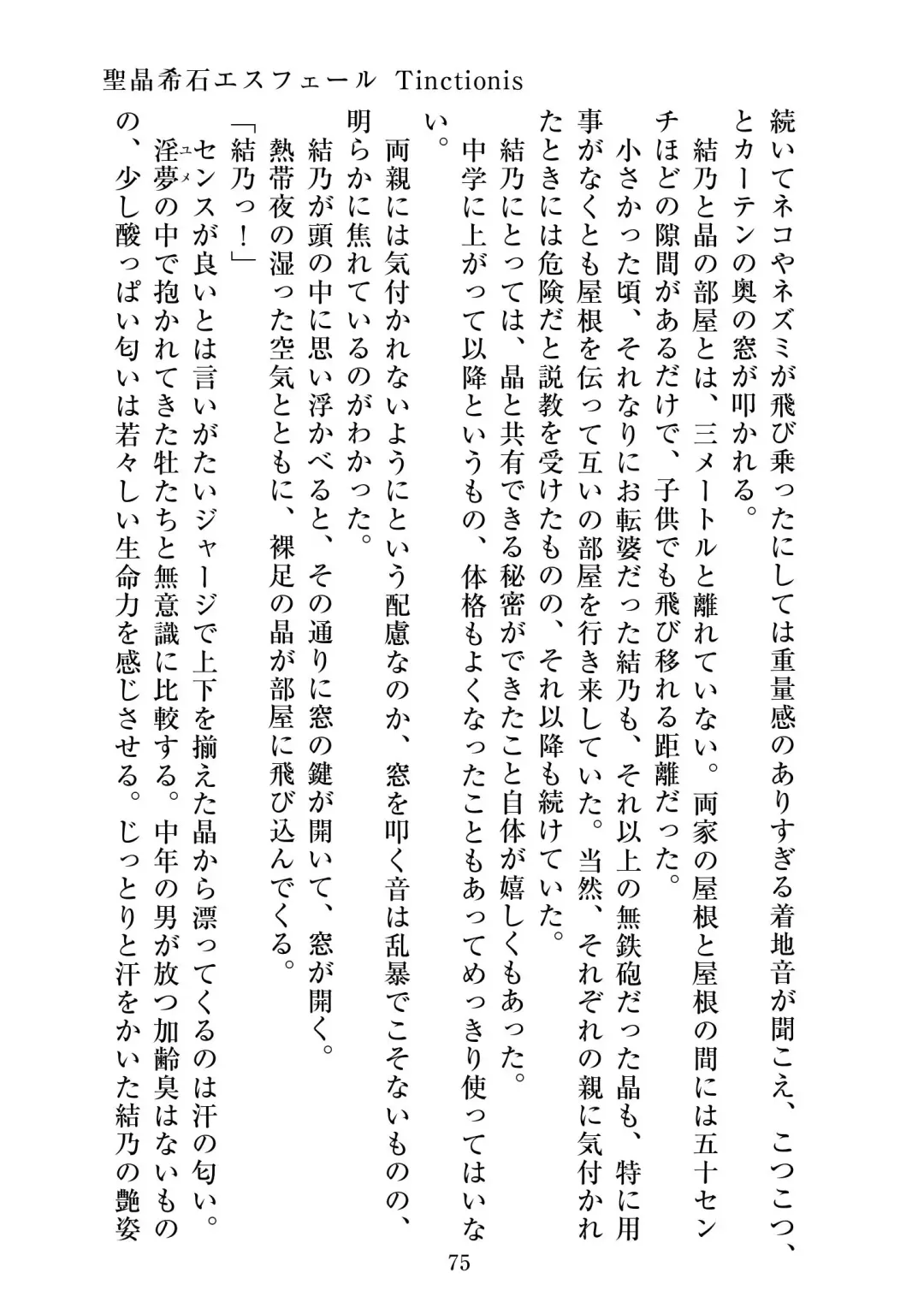 [Satou Kuuki] Holy Crystal Esphére Tinctionis Fhentai - Page 76