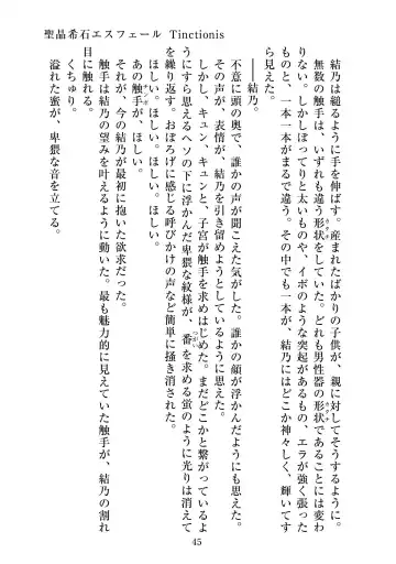 [Satou Kuuki] Holy Crystal Esphére Tinctionis Fhentai - Page 46