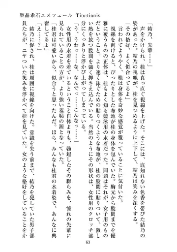 [Satou Kuuki] Holy Crystal Esphére Tinctionis Fhentai - Page 64