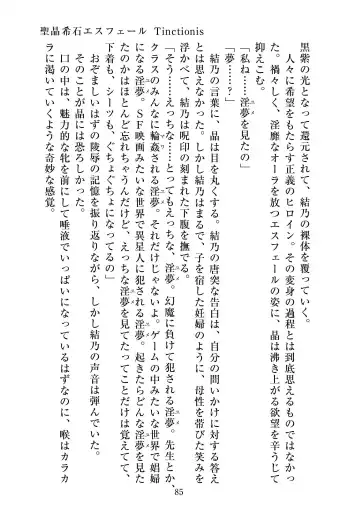 [Satou Kuuki] Holy Crystal Esphére Tinctionis Fhentai - Page 86