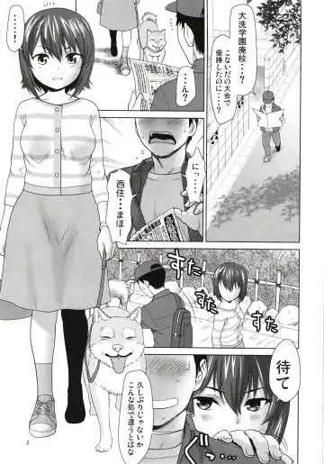 [Saida Kazuaki] Nishizumi-ke no Hime Asobi Fhentai.net - Page 3