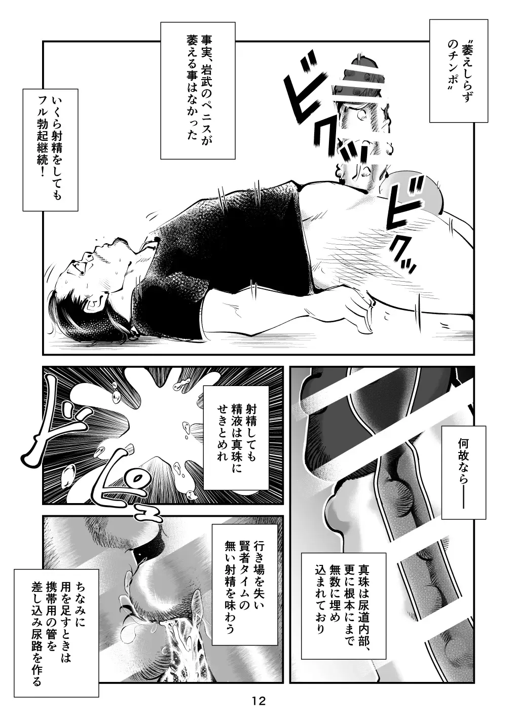 [Makunouchi] Chinpo Shiikukakari 5 Fhentai.net - Page 12