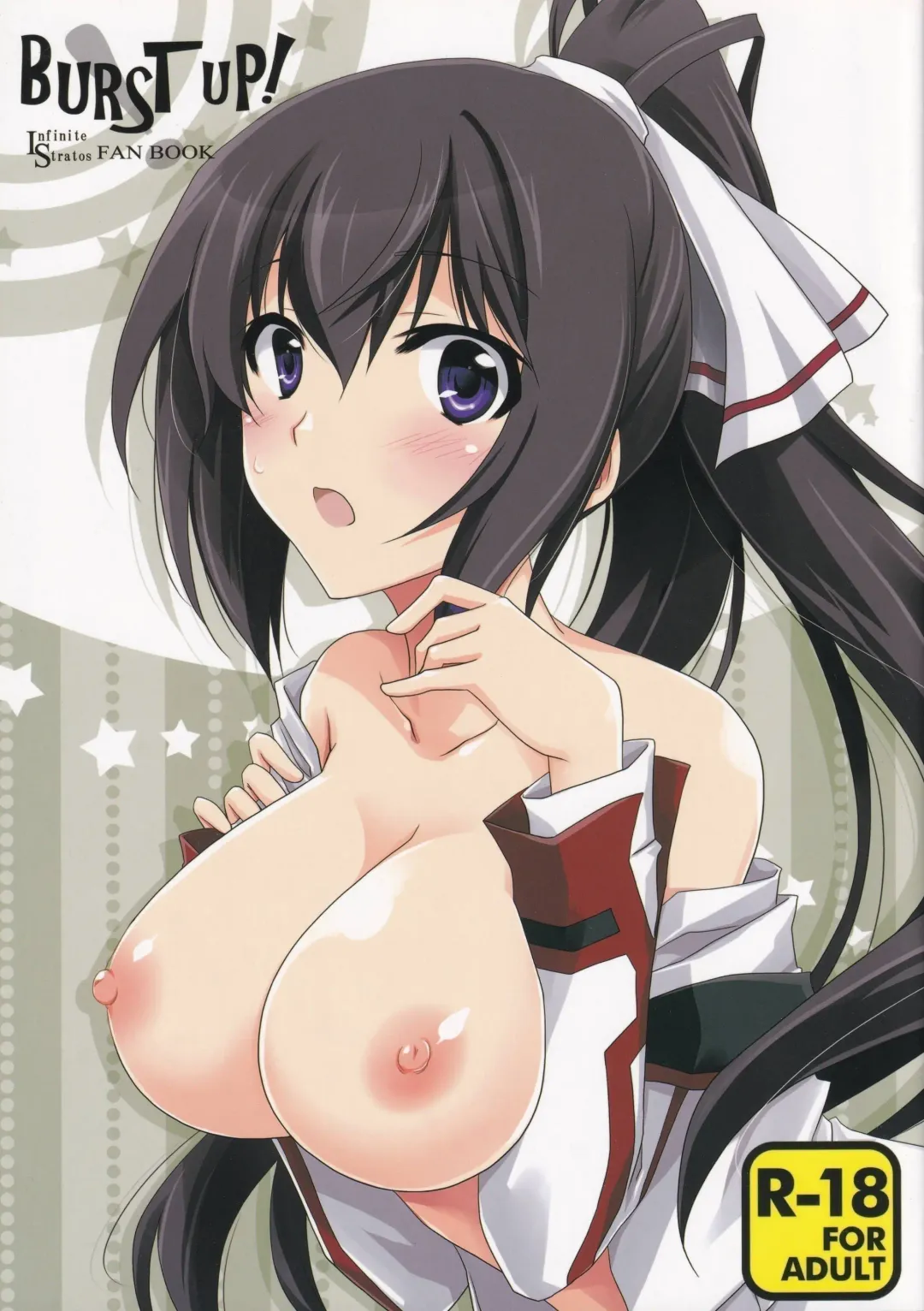 Read [Yamabuki Mook] Burst Up! Infinite Stratos FAN BOOK - Fhentai.net