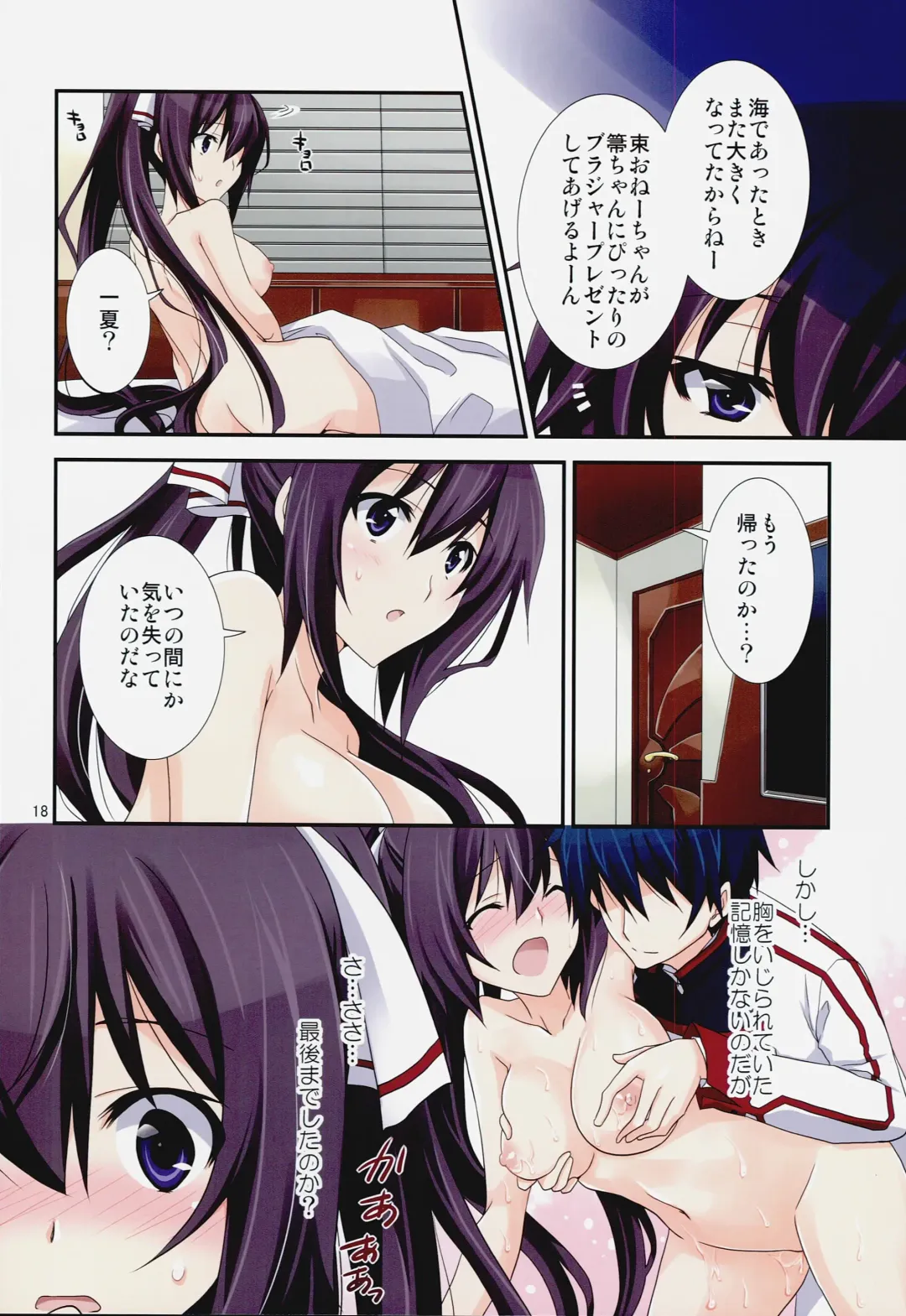 [Yamabuki Mook] Burst Up! Infinite Stratos FAN BOOK Fhentai.net - Page 18