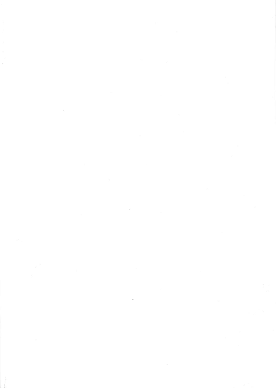 [Exabyte] Ame no Hi wa Kitsune Udon Fhentai - Page 2