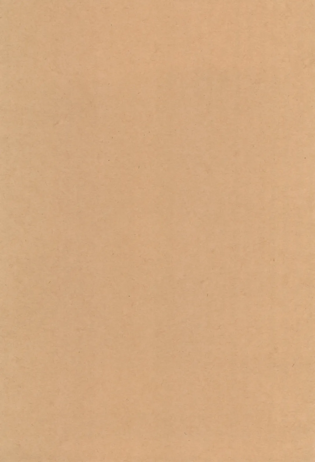 [N.o. Chachamaru] Hiyake ga Ki ninaru Sensei ga Fhentai - Page 3