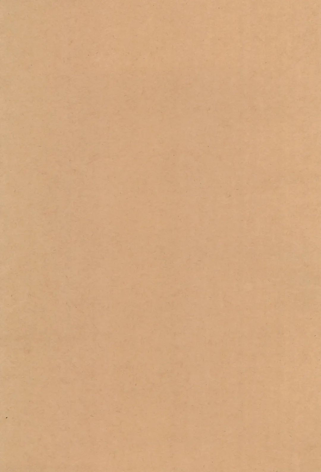 [N.o. Chachamaru] Hiyake ga Ki ninaru Sensei ga Fhentai - Page 31