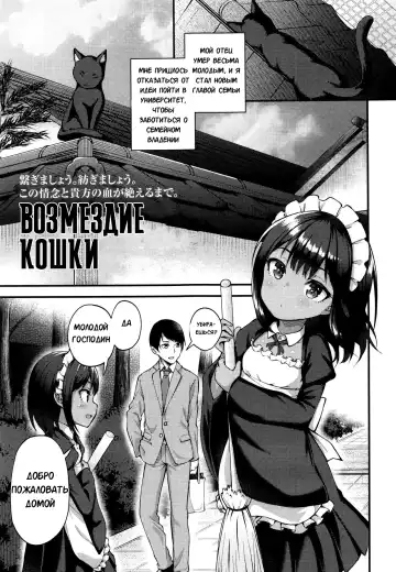 Read [Binsen] Neko No Ongaeshi | Возмездие кошки - Fhentai
