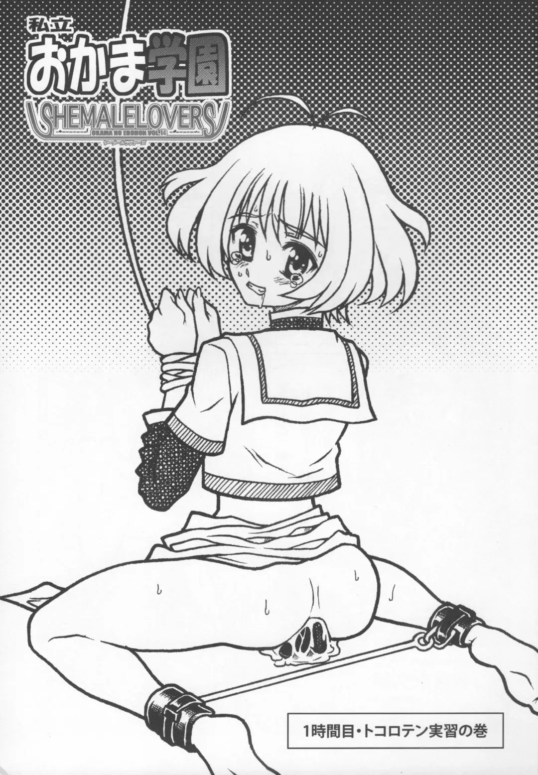 [Kan Koromoya - Tsukamoto Takashi] SHEMALELOVERS Vol.14 Fhentai - Page 2