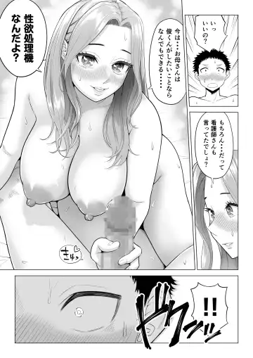 Wake Atte, Gibo ga Seiyoku Shoriki ni Narimashita. Fhentai.net - Page 26