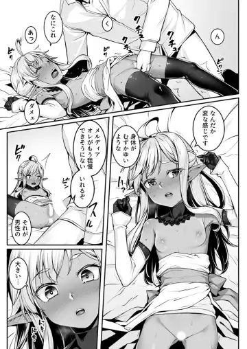 [Kasei] Ecchi na Elf to no Kurashikata Vol. 7 ~Dark Elf no Himegimi to Ichakorakkusu~ Fhentai.net - Page 11