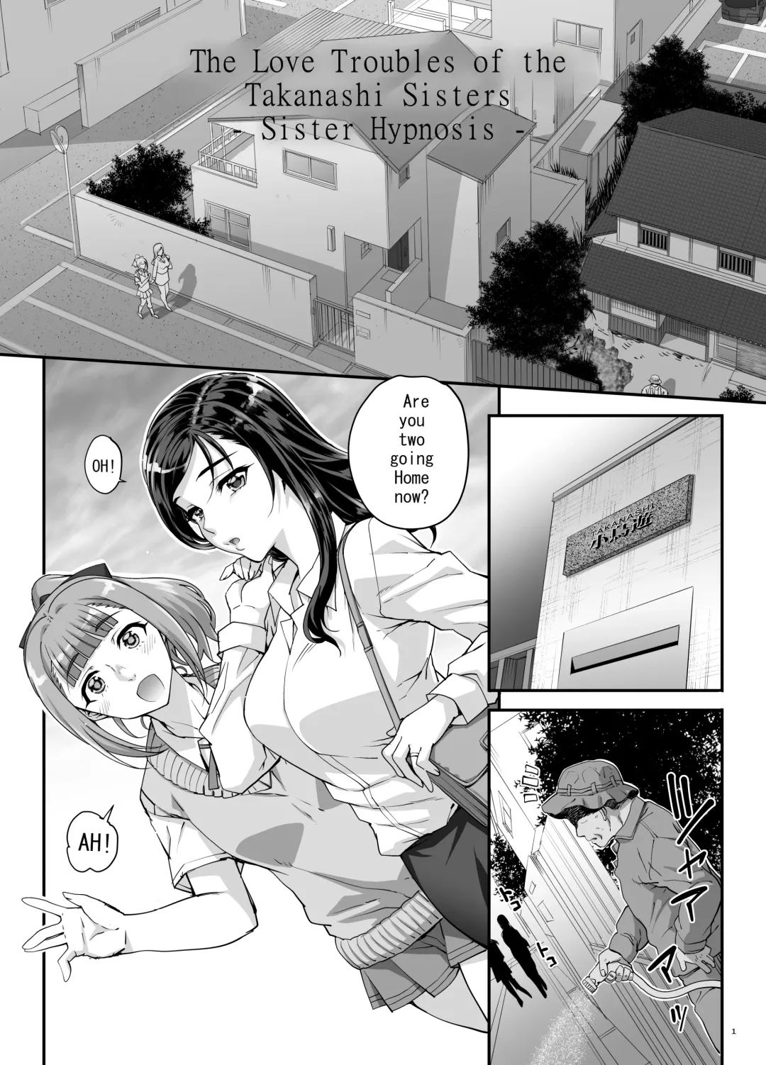 [Carn] Takanashi Shimai no Junan - saimin sisters Fhentai - Page 2