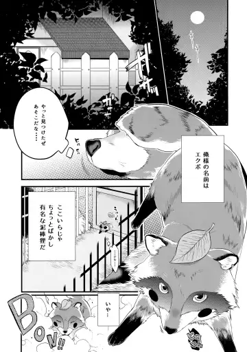 [Kito] Tanuki ha Shiboritate no Gyuunyuu ga Osuki. Fhentai.net - Page 4