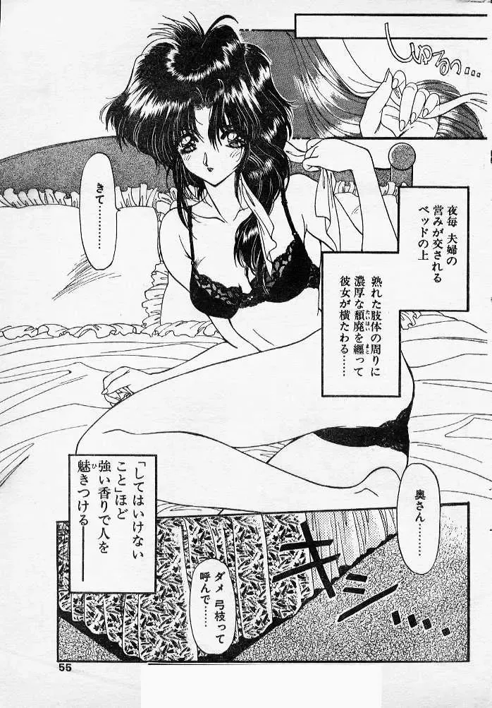 [Ramiya Ryou] Mahiru no DELUSION Fhentai - Page 9