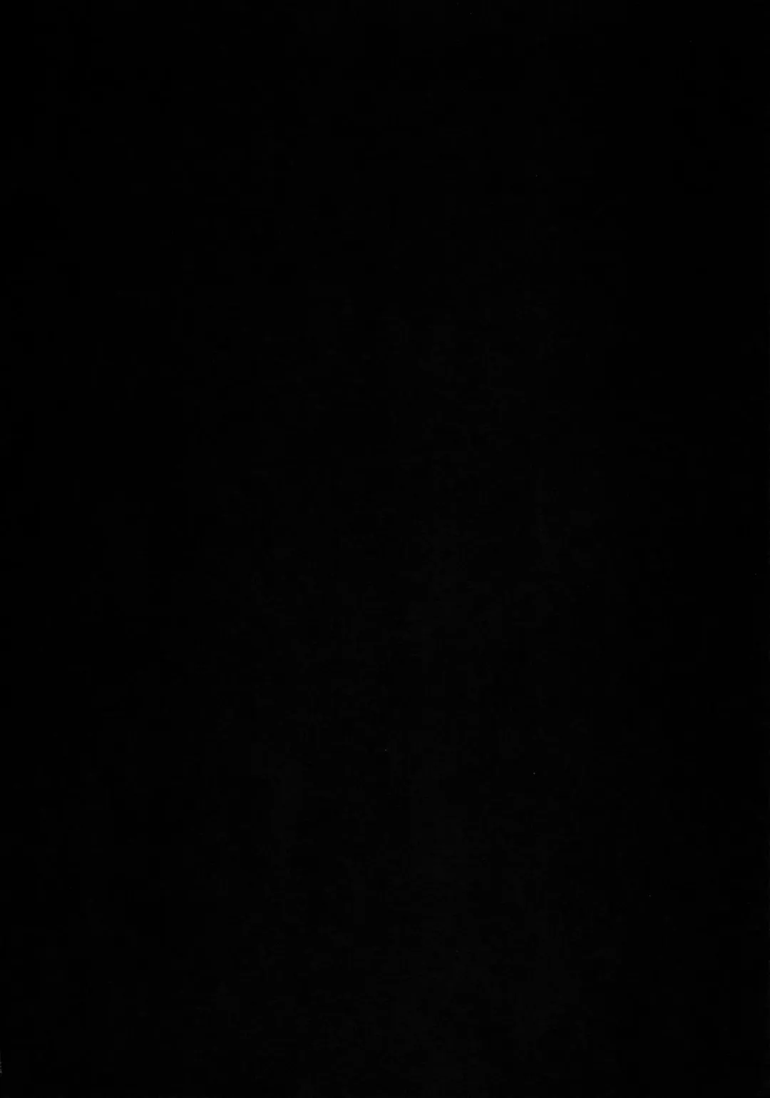 [Nijou Katame] Tokitsukaze to Isshoni. Juuyon Fhentai - Page 3