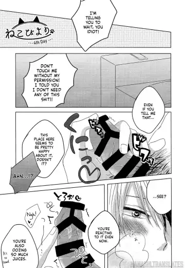 [Kei] Neko Biyori Fhentai - Page 60