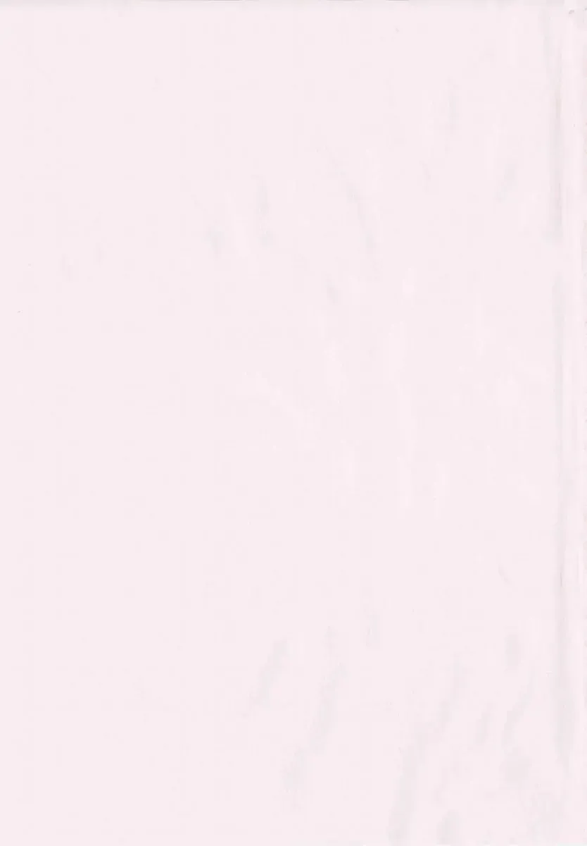 [Maguro Teikoku] Shihon Shugi no Seishin - Der Geist des Kapitarismus Fhentai - Page 5