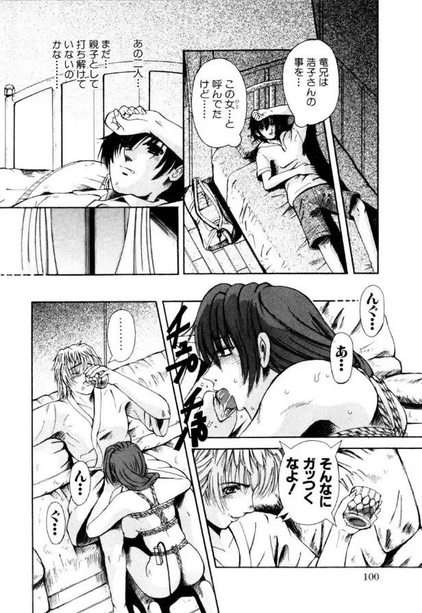[Arimaki Yoshio] Mesuinu-tachi no Kyouen Fhentai - Page 101