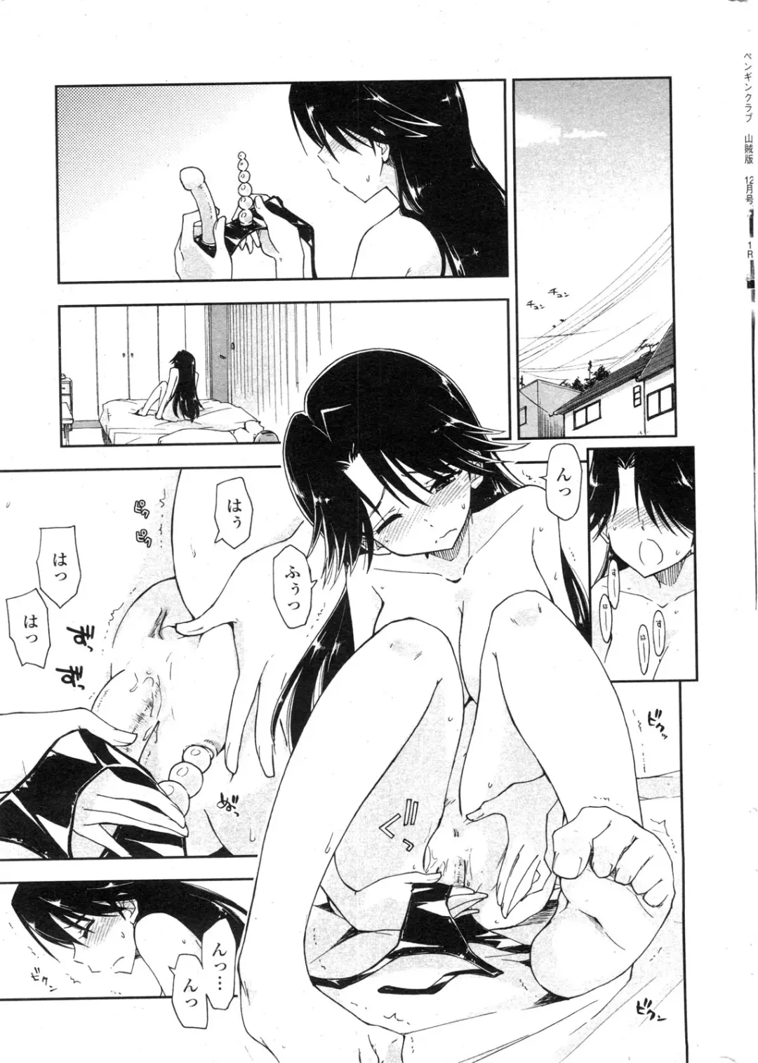 COMIC Penguin Club Sanzokuban 2009-12 Fhentai - Page 14