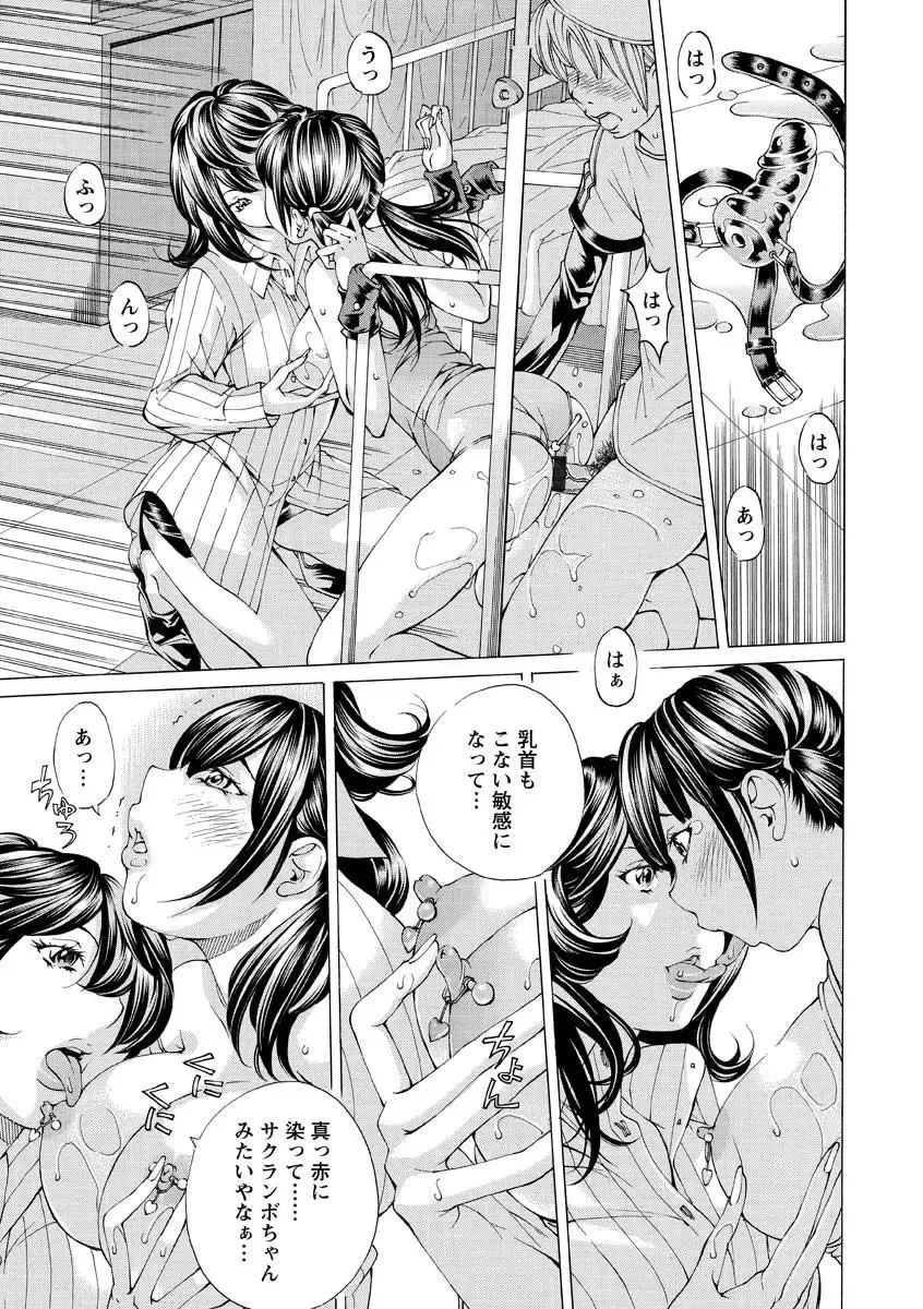 [Nohara Hiromi] Seigangu Kousoku Ningyou Fhentai - Page 185